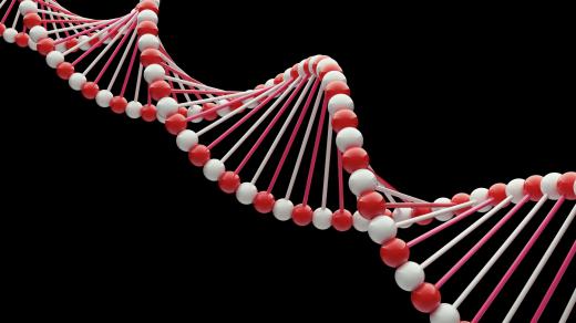 Genetic genealogy looks for markers in DNA.