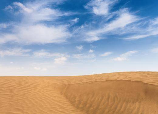 Sand dunes can cover very large areas.