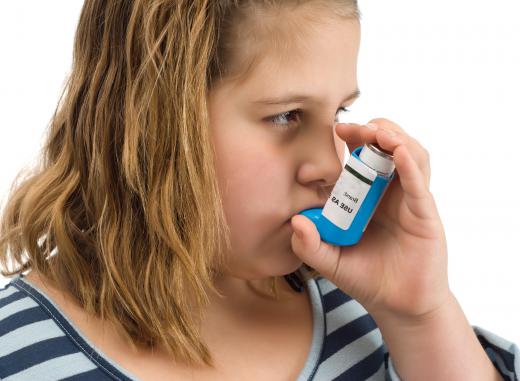 Dust mite excreta can cause asthma.