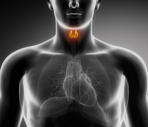 Iodine can help cub anxiousness and agitation relative to thyroid disorders.
