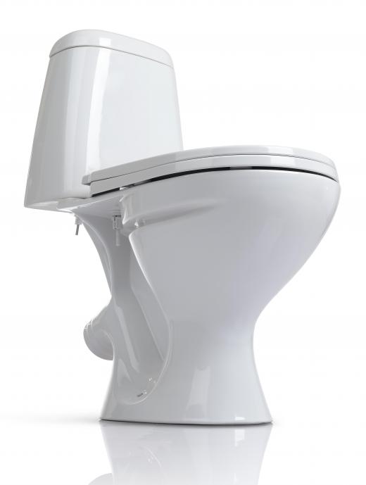 A synthetic form of urea can be found in toilet bowl cleaners.