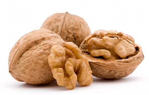 Some pomologists study tree nuts, like walnuts.