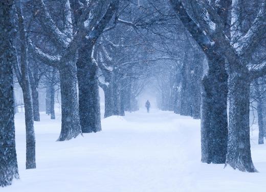 Advection fog is possible over snow-covered land masses.