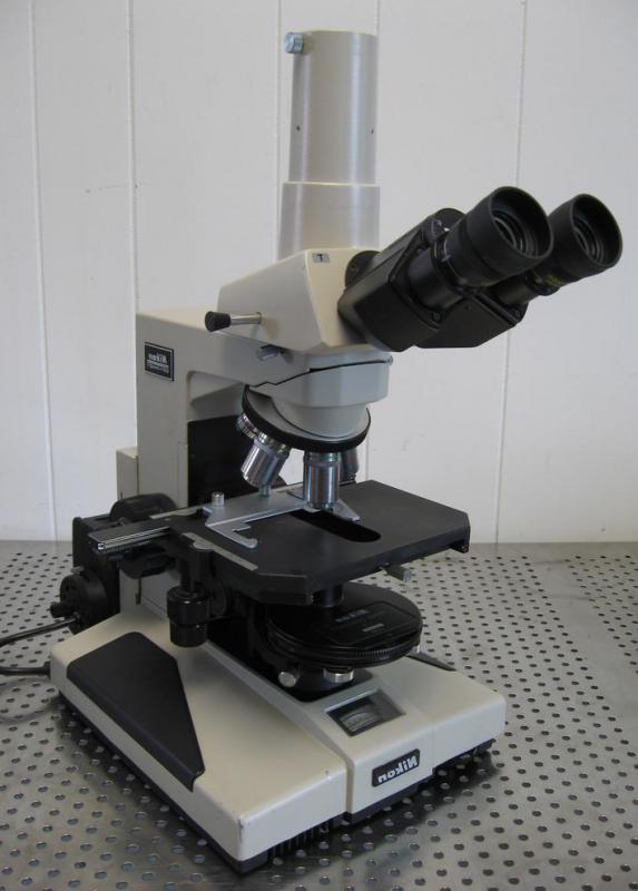 What is a Dark Field Microscope? (with pictures)