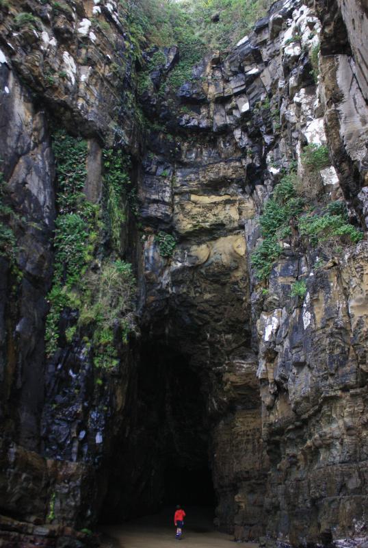 Which Animals Live in Caves? (with pictures) Which Animals Live in Caves? (with pictures)
