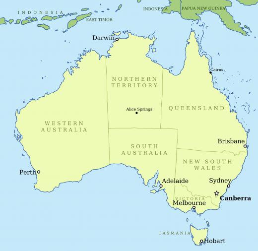 The Marsupial Lion was the largest marsupial carnivore ever to exist in Australia, about the size of a female African lion or a tiger.