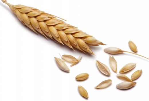 Barley, which contains tocotrienols.