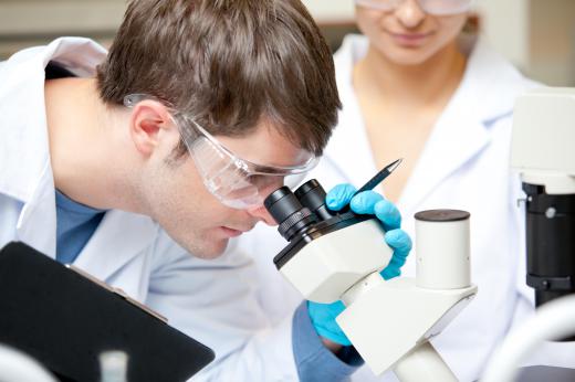 Microbiologists study microscopic organisms.