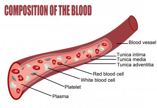 A blood composition diagram showing platelet cells.