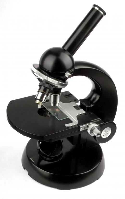 A microscope.