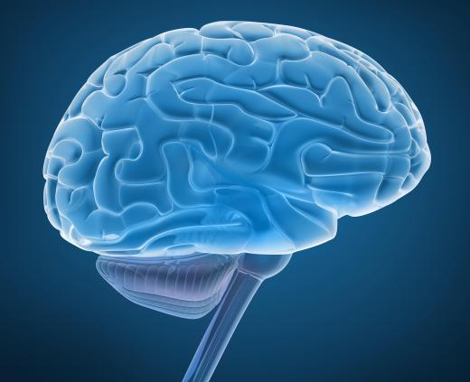 A BCI links a human brain directly to a computer.