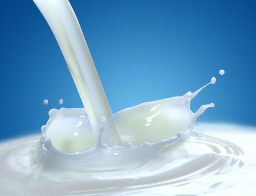 Fermentation occurs when the lactose in dairy products breaks down.