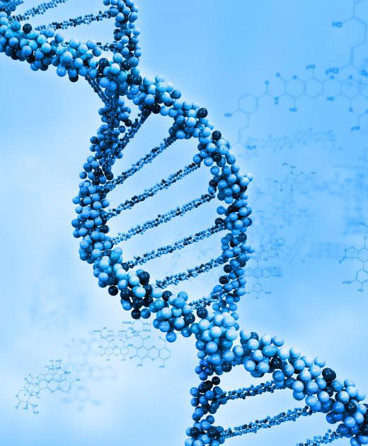 DNA is a biological macromolecule.