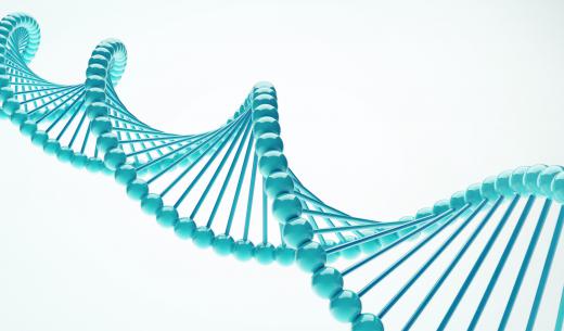 In gel electrophoresis,an electrical current is applied to a gel matrix which contains samples of items such as DNA.