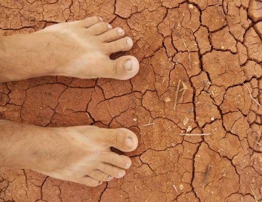 Earth scientists study the causes and impacts of droughts.