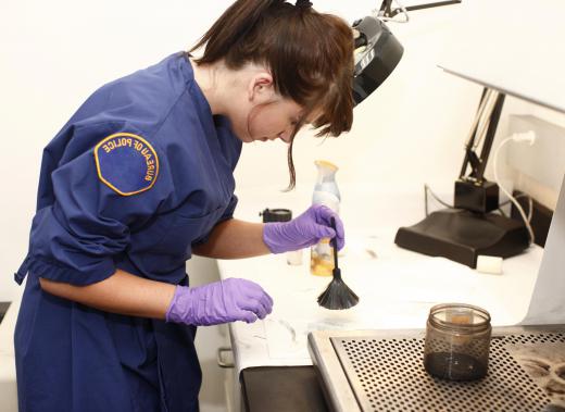 Chemical dusting powder may be used to collect fingerprints at a crime scene.