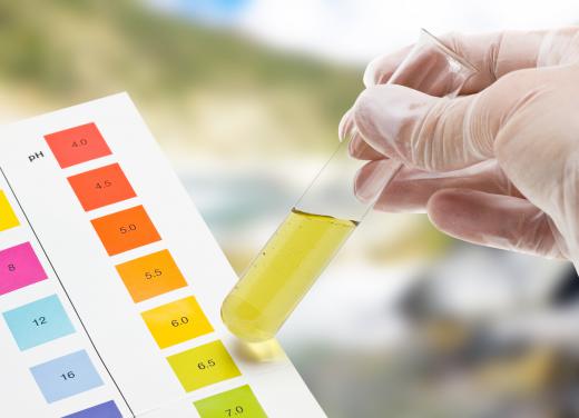 Checking the pH of a solution is a common bench chemistry task.