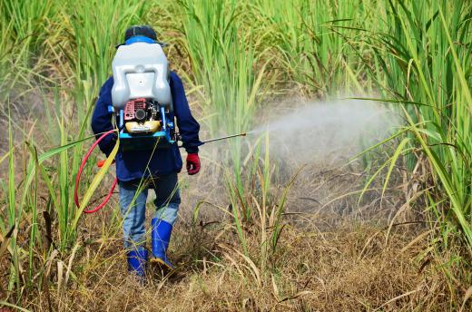 Biochemists can create herbicides or pesticides.