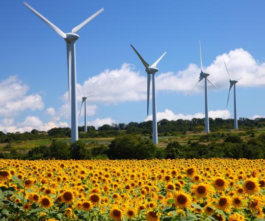 Turbines rely on the primary energy of wind.