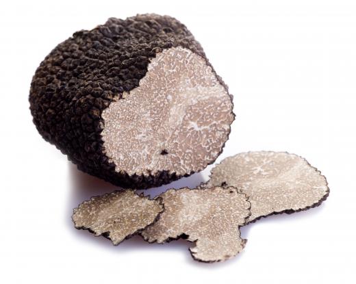 Black truffles arise from the mycelium of a fungus.