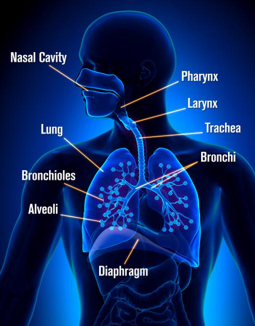 Sulfuric acid vapor can cause burns in a person's respiratory tract.