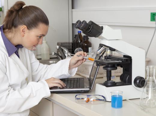 Common equipment found within a microbiology lab include beakers, microscopes, and computers.