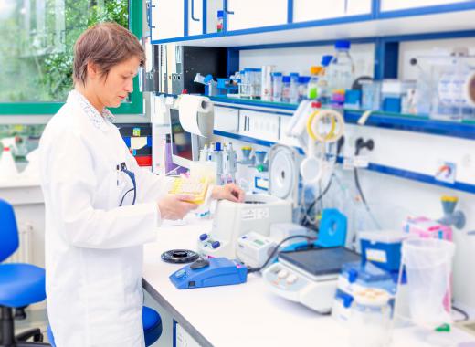 A microbiology lab often looks similar to a chemistry lab.